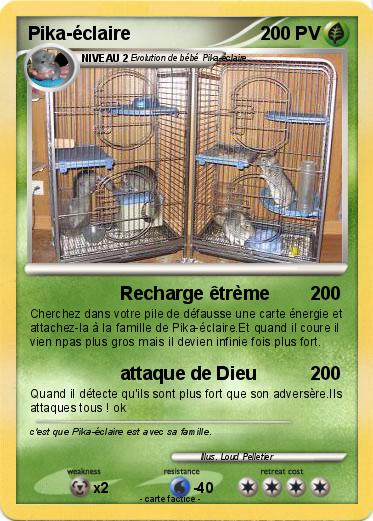 Pokemon Pika-éclaire