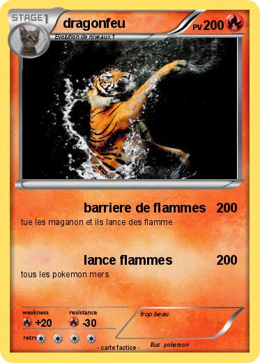 Pokemon dragonfeu