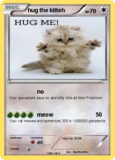 Pokemon hug the kitteh