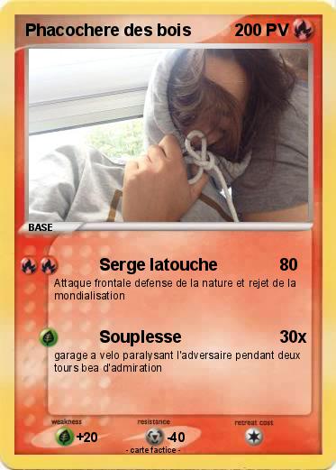 Pokemon Phacochere des bois