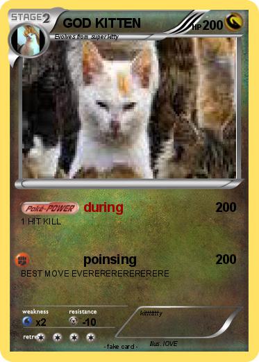 Pokemon GOD KITTEN
