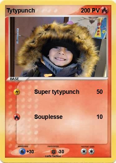 Pokemon Tytypunch