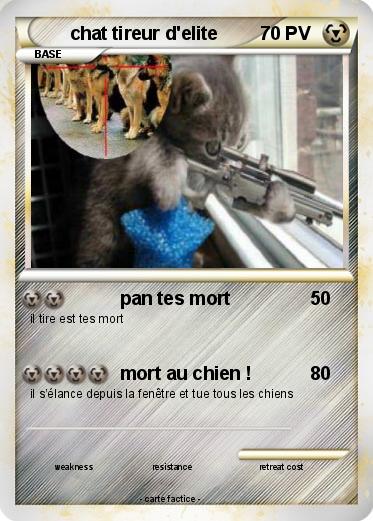 Pokemon chat tireur d'elite