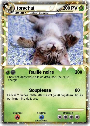 Pokemon torachat
