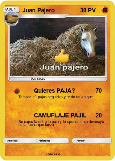 Pokemon Juan Pajero
