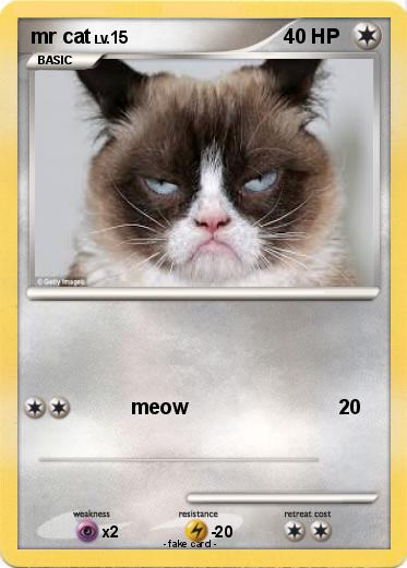 Pokemon mr cat