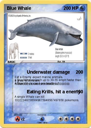 Pokemon Blue Whale