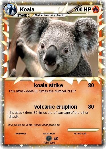Pokemon Koala