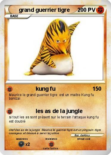 Pokemon grand guerrier tigre