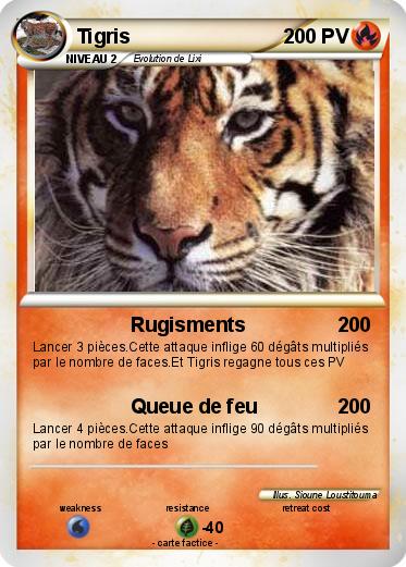 Pokemon Tigris