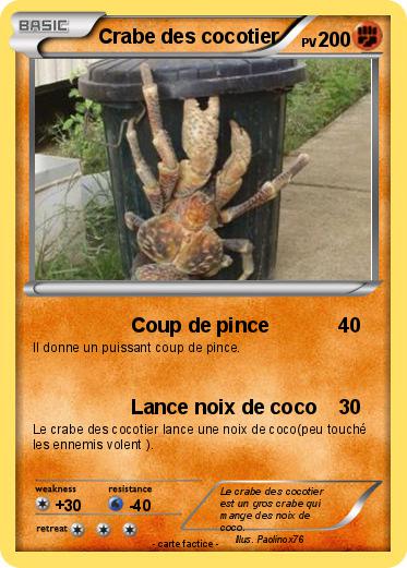 Pokemon Crabe des cocotier