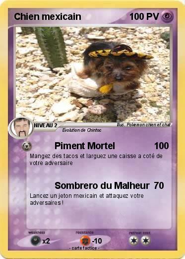 Pokemon Chien mexicain
