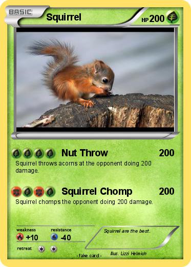 Pokemon Squirrel