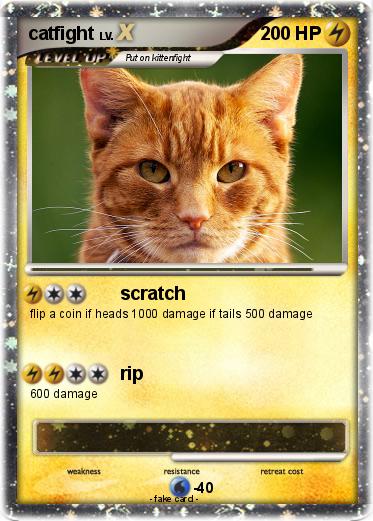 Pokemon catfight