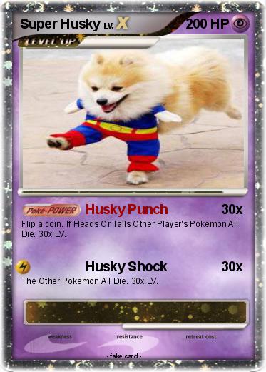 Pokemon Super Husky