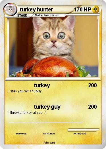 Pokemon turkey hunter