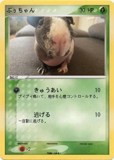 Pokemon ぷぅちゃん