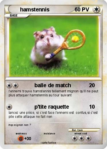 Pokemon hamstennis
