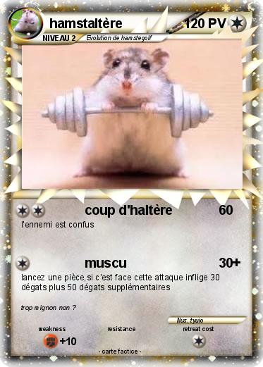 Pokemon hamstaltère