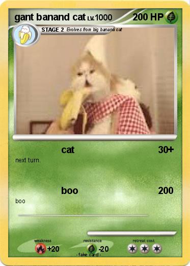 Pokemon gant banand cat