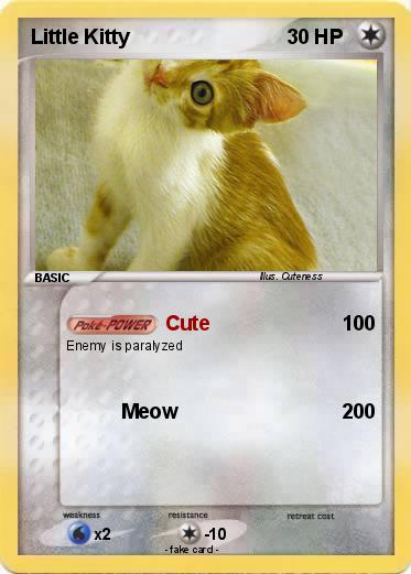 Pokemon Little Kitty