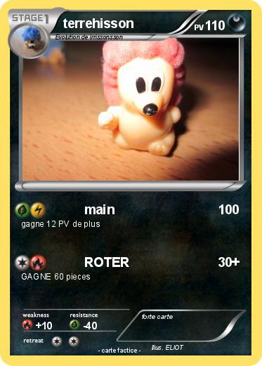 Pokemon terrehisson