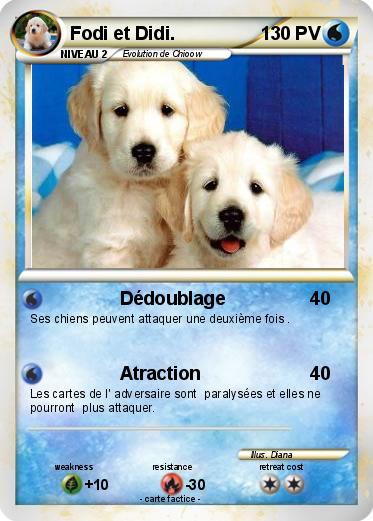 Pokemon Fodi et Didi.