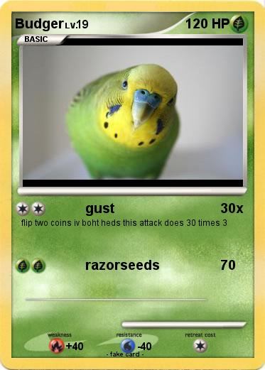 Pokemon Budger