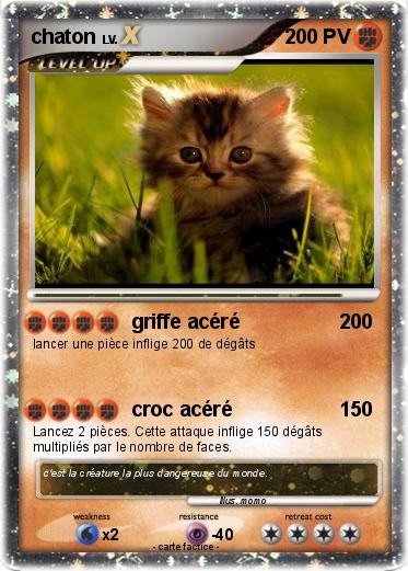 Pokemon chaton