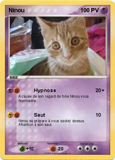 Pokemon Ninou