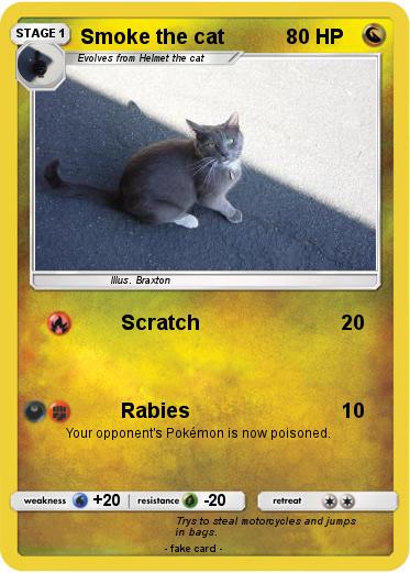 Pokemon Smoke the cat