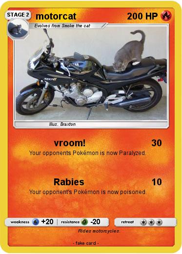 Pokemon motorcat