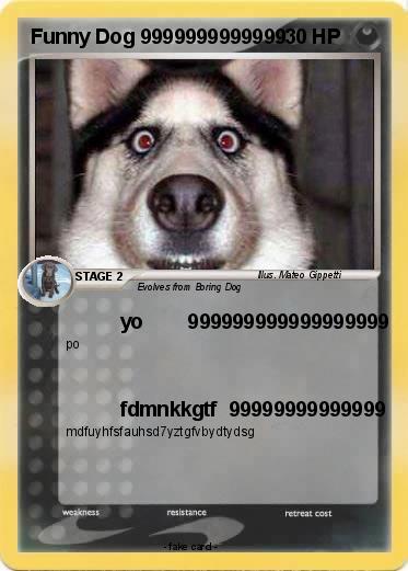 Pokemon Funny Dog 9999999999999