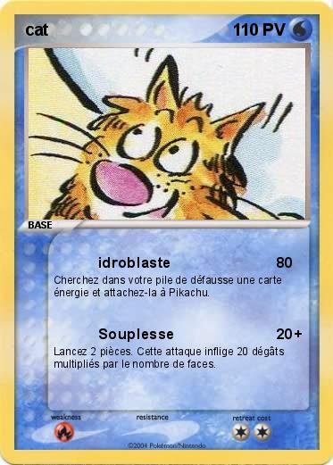 Pokemon cat