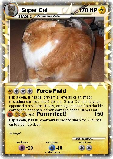Pokemon Super Cat