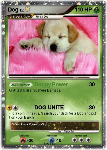 Pokemon Dog