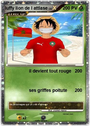 Pokemon luffy lion de l attlase