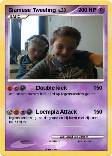 Pokemon Siamese Tweeling