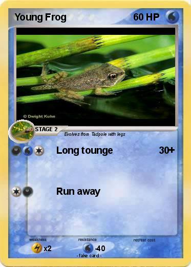 Pokemon Young Frog