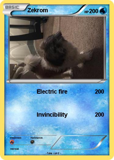 Pokemon Zekrom