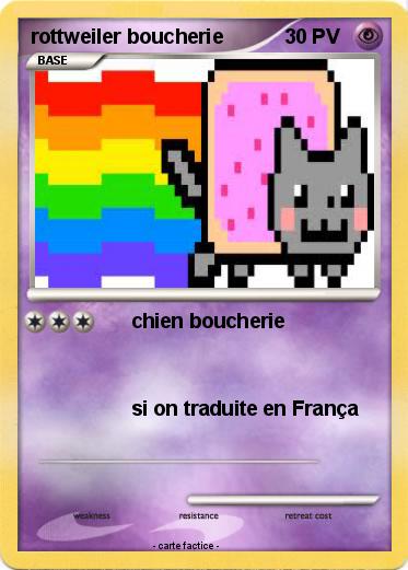 Pokemon rottweiler boucherie