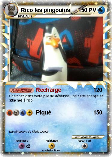 Pokemon Rico les pingouins
