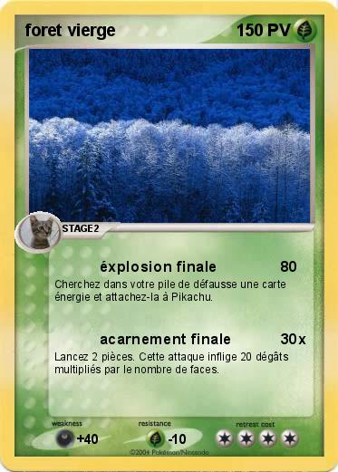 Pokemon foret vierge