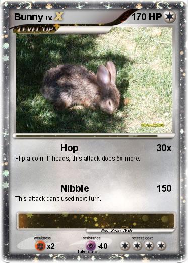 Pokemon Bunny