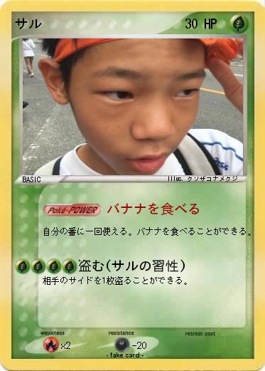 Pokemon サル