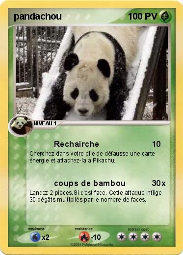 Pokemon pandachou