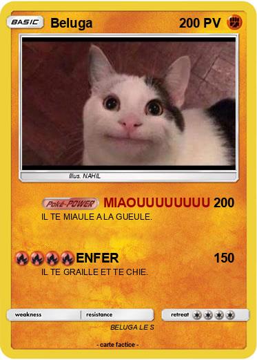 Pokemon Beluga