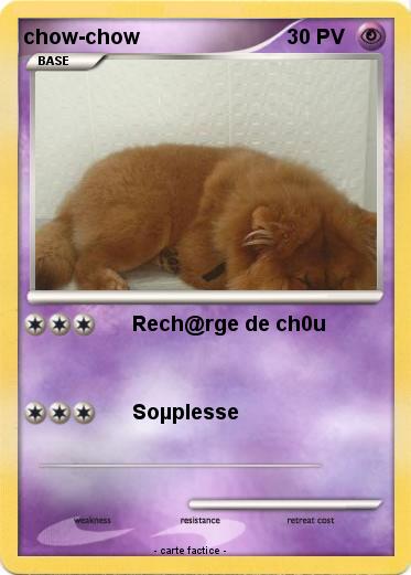 Pokemon chow-chow