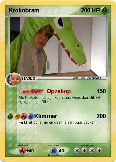 Pokemon Krokobram
