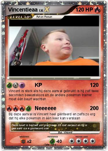 Pokemon Vincentieaa